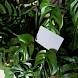 Caruba Digital Grey Card DGC-2