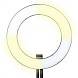 Falcon Eyes DVR-384DVC Ring light