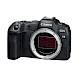 Canon EOS R8 body